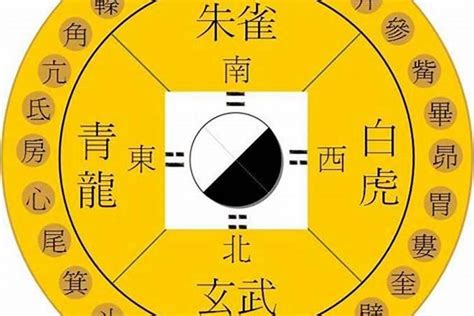 玄武方位|青龙白虎朱雀玄武都在那个方位